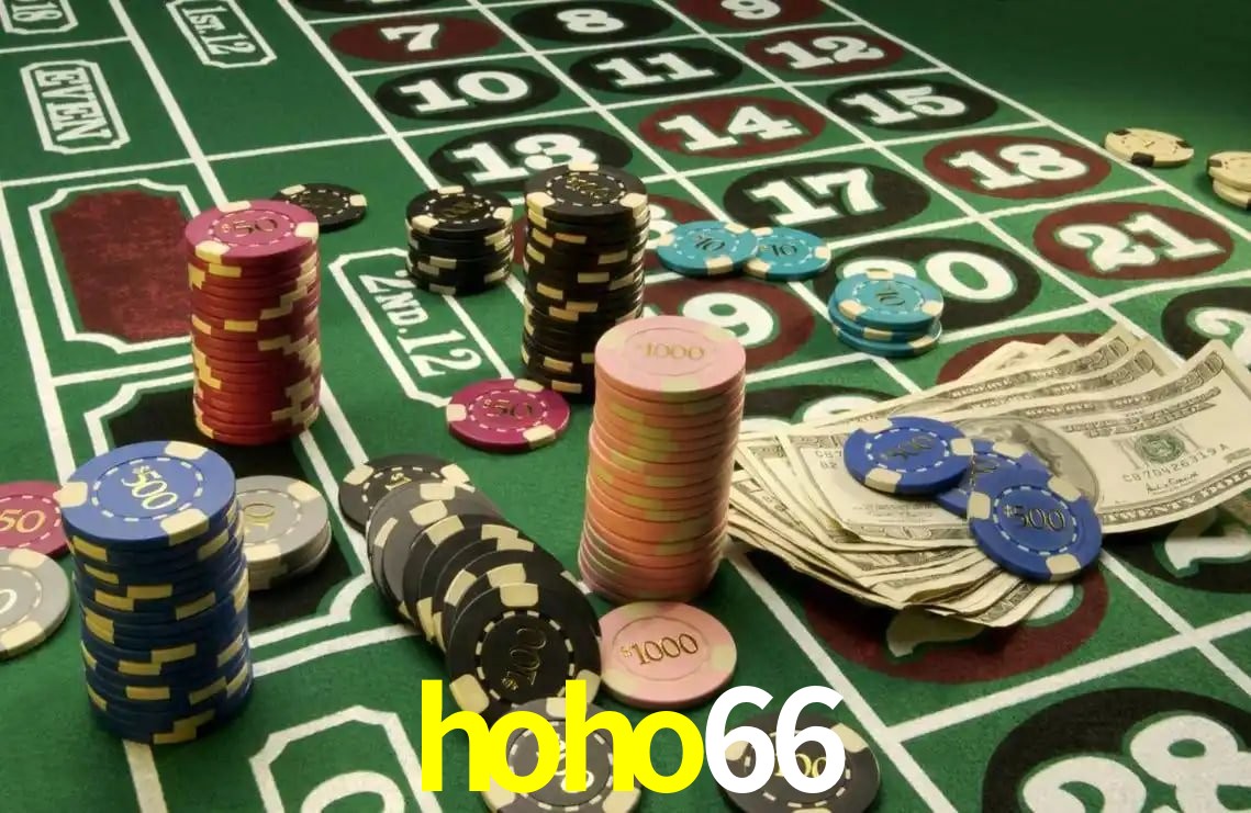 hoho66 bet