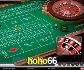 Platform Technology hoho66