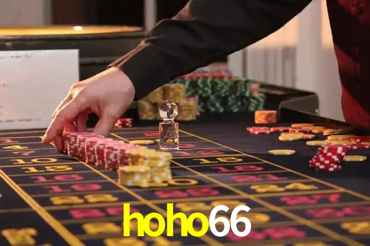 Programa VIP hoho66